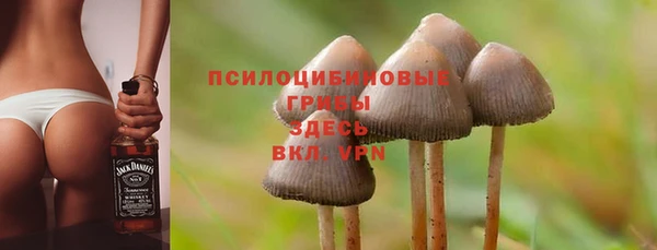 кристаллы Богородск